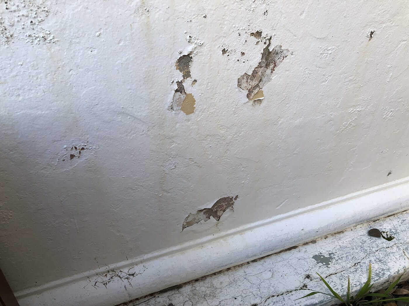 Peeling lead paint on a wall.