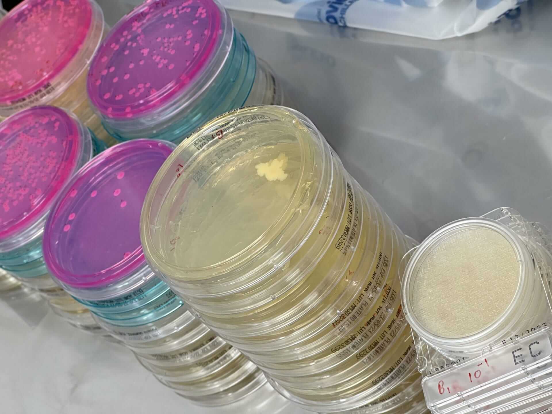 Mould, yeast bacteria testing