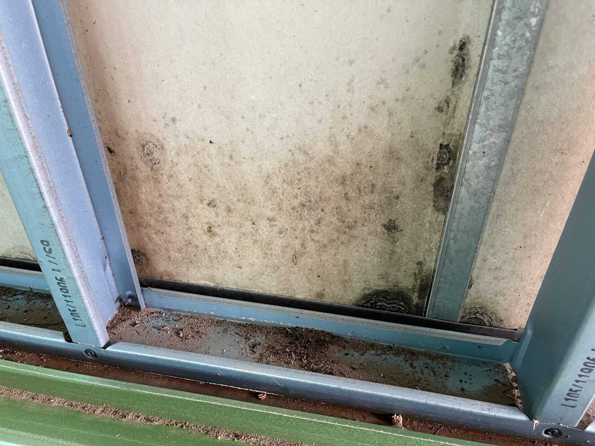 Mould on new building materials