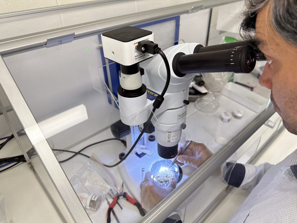 Asbestos Sample Testing