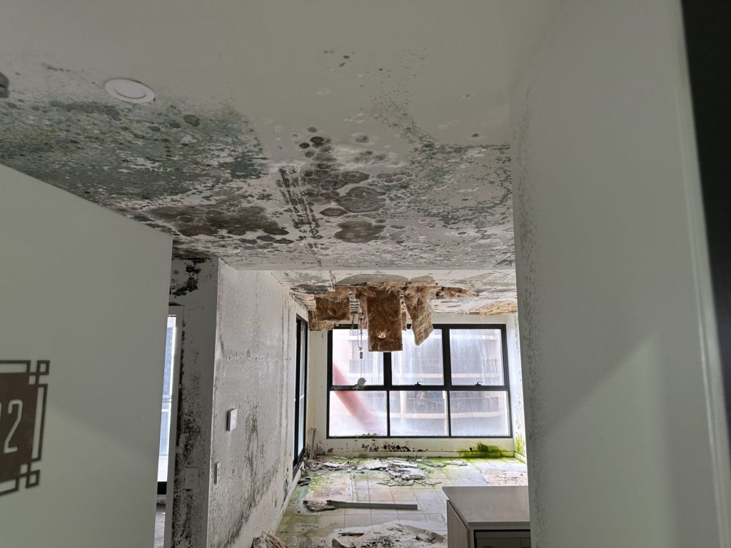 Mould Inspection and Testing