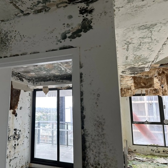 Mould Inspector