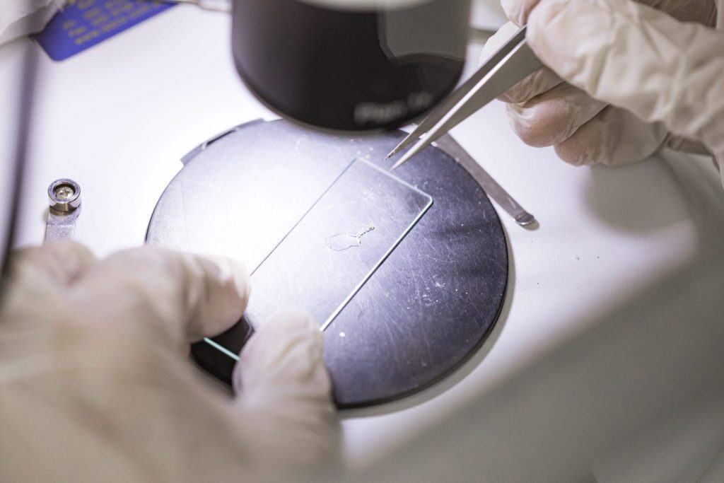 Asbestos testing-slide mounting