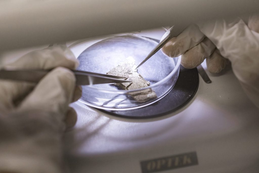 Asbestos Testing Sample Lab Analysis