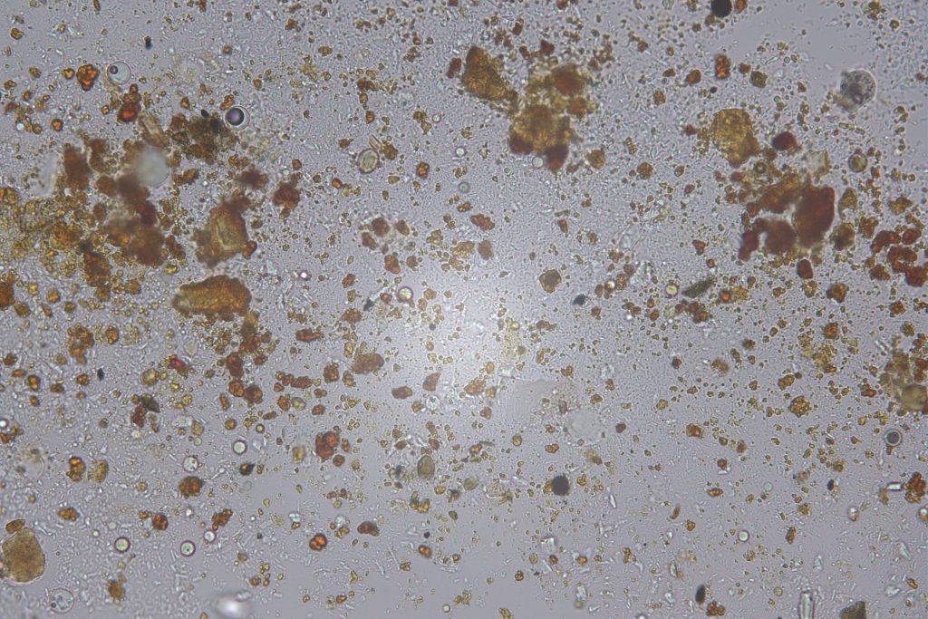 Particle Identification-soil