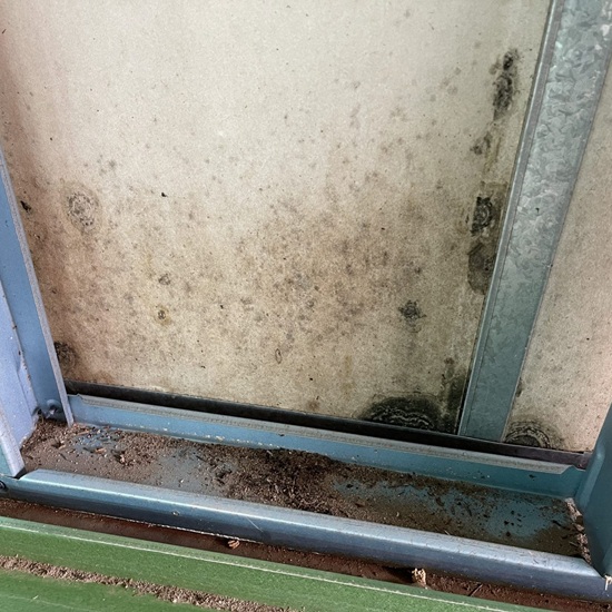 What is Mould?
