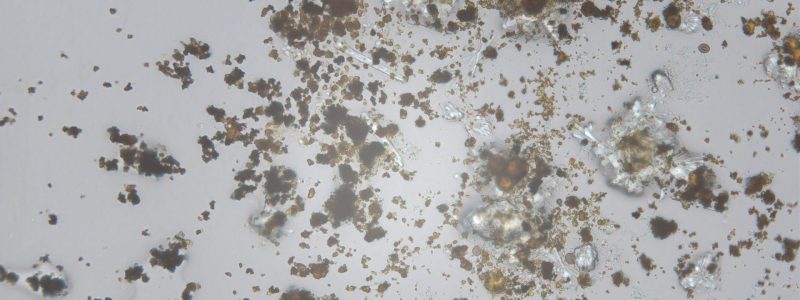 Particle Identification Analysis